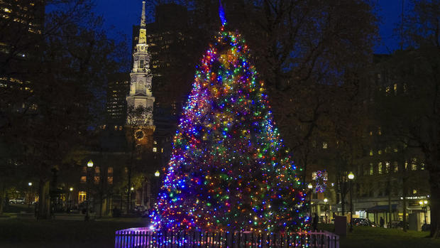 Boston Common Christmas Tree 