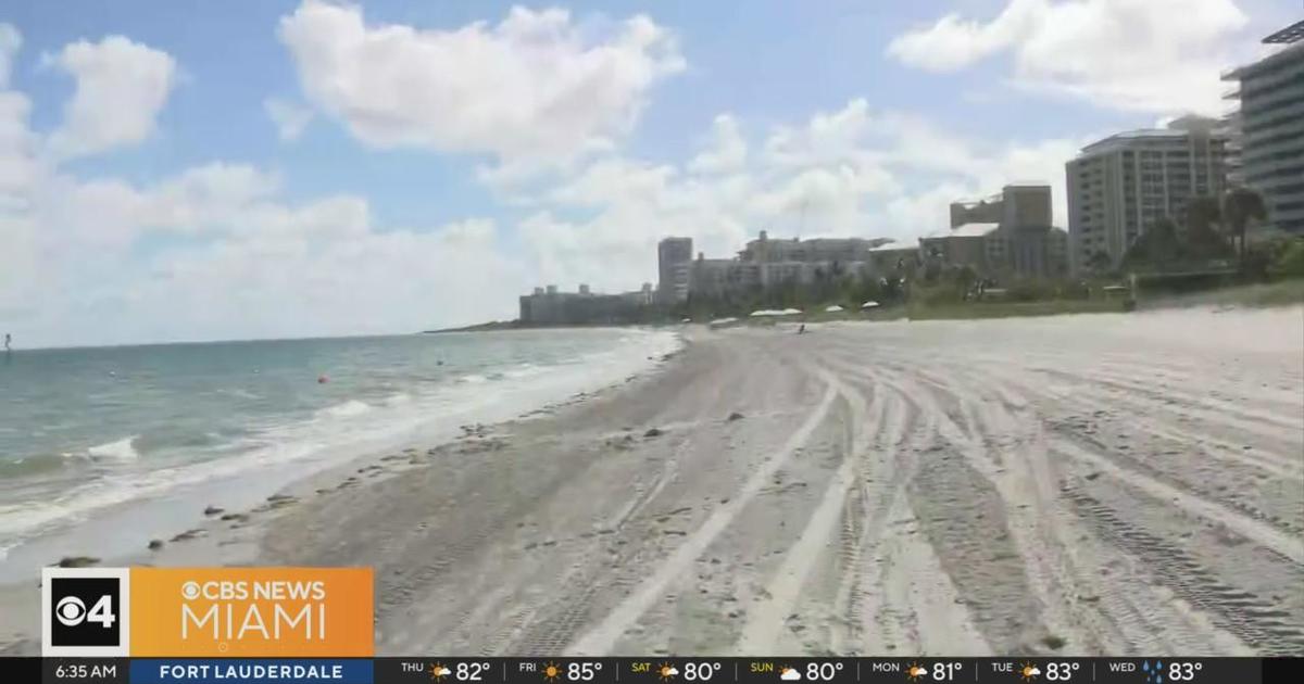 Human head found on Virginia Key beach belonged to a man, police say