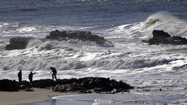 Northern California High Tide 