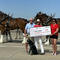 How Clydesdale horses support a non-profit for fallen soldiers, first responders