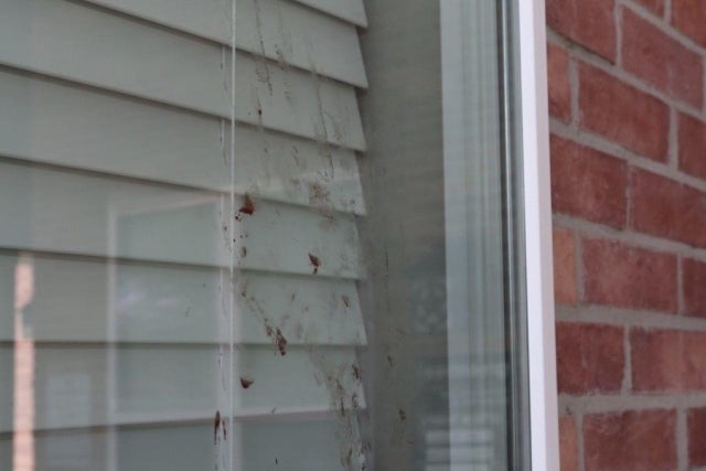 Alyssa Burkett crime scene 