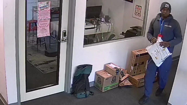 ups-package-thief.jpg 