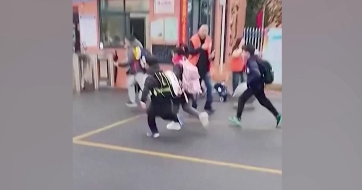 Children run for safety after driver hits crowd outside elementary school in China