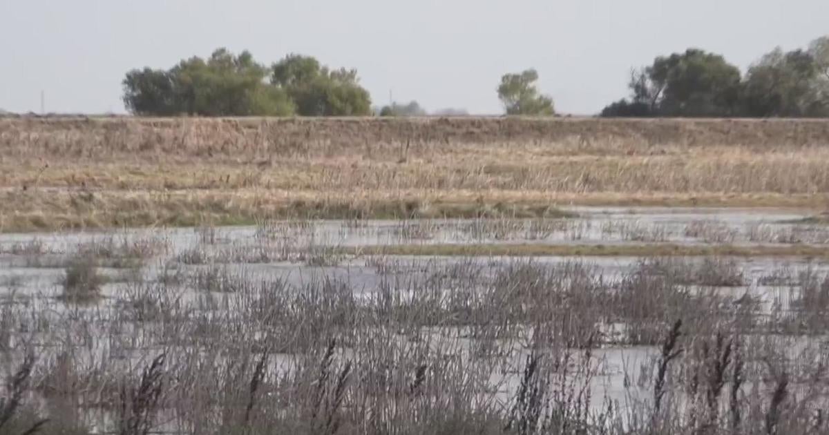 Stanford researcher studying how California can save more rainwater underground