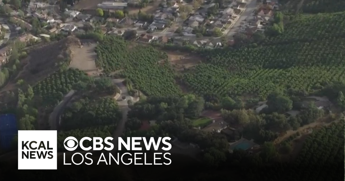 Quail Ranch | Look At This! - CBS Los Angeles