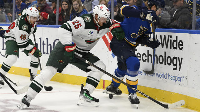 Wild Blues Hockey 