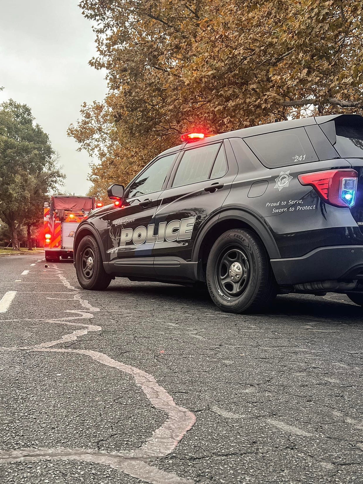 Elk Grove police seek witnesses of teen's deadly crash into tree - CBS ...
