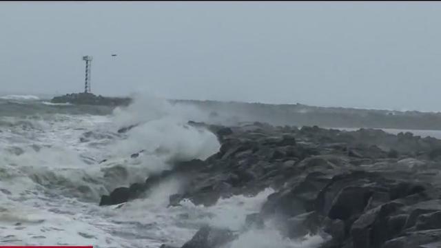 Surf Conditions 