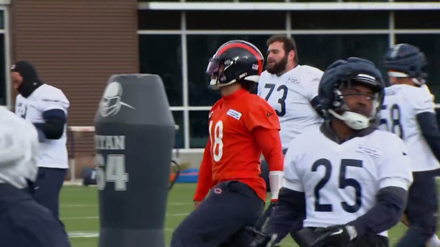 bears-practice-1120.png 