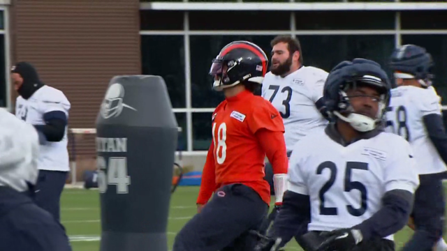 bears-practice-1120.png