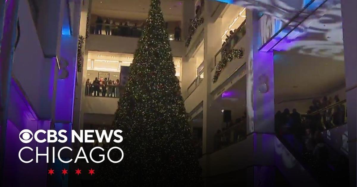 Make-A-Wish child helps light Chicago’s tallest Christmas tree