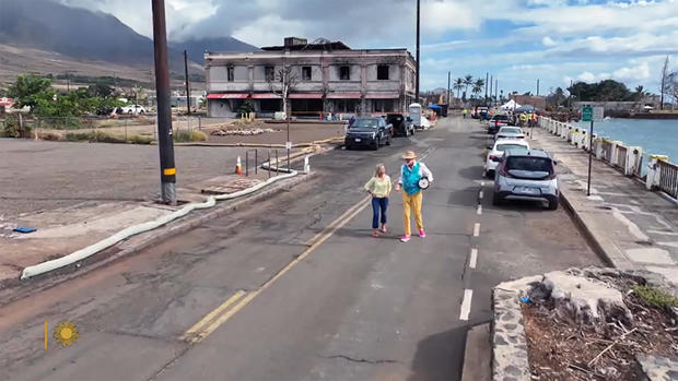 tracy-smith-and-mick-fleetwood-in-lahaina.jpg 