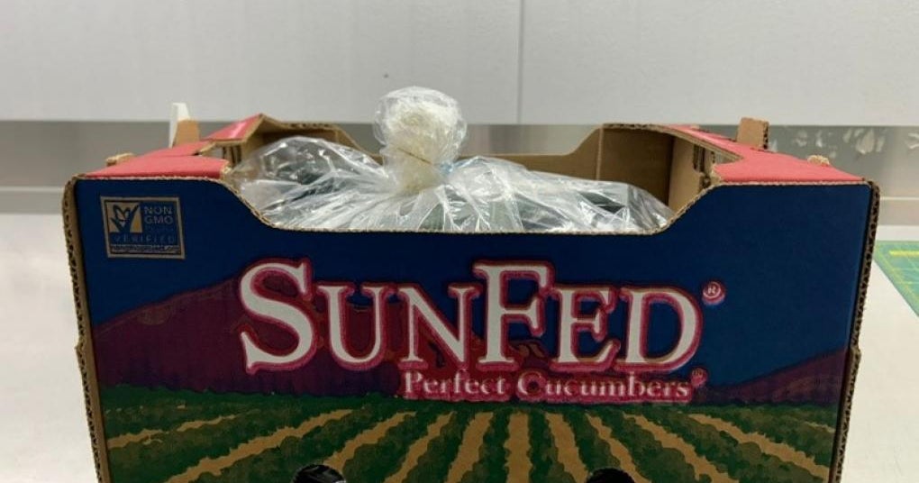 Cucumbers recalled across U.S. and Canada over salmonella risk
