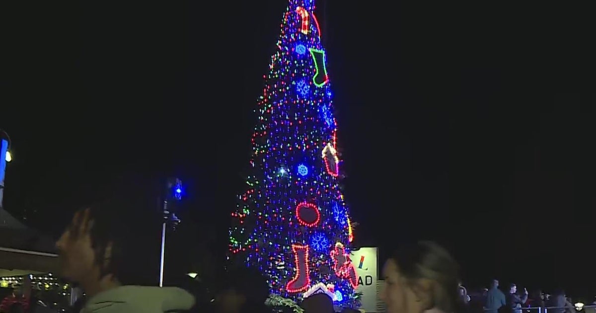 2024 Old Sacramento Christmas tree lit up in Thanksgiving Eve ceremony