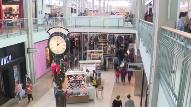 Shoppers at The Mall in Columbia. 