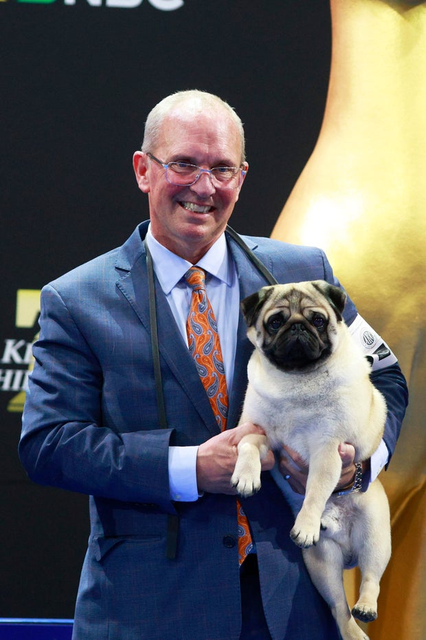 National Dog Show Presented by Purina - Season 23