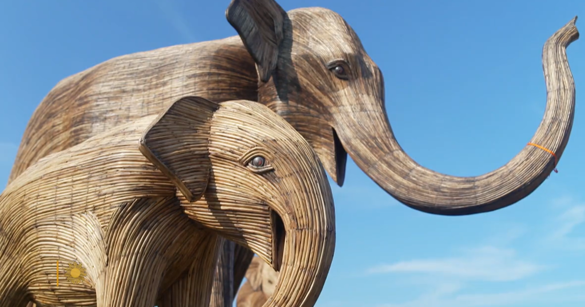 100 life-sized elephant sculptures on display in Miami Beach for Art Week