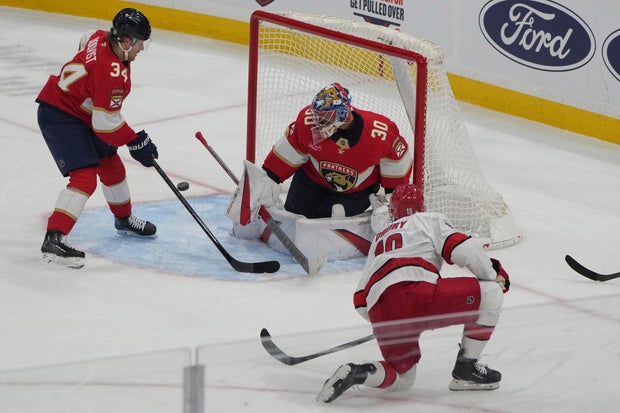 Hurricanes Panthers Hockey