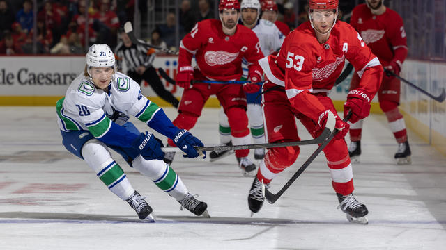 Vancouver Canucks v Detroit Red Wings 