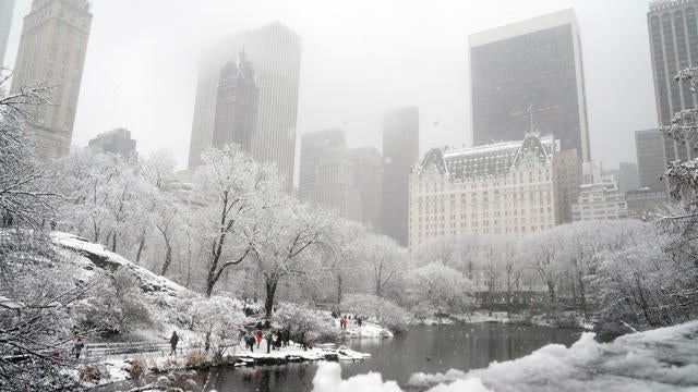 Snow Day in Central Park 