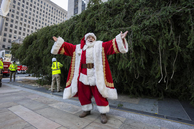 2024 Rockefeller Center Christmas Tree Arrives 