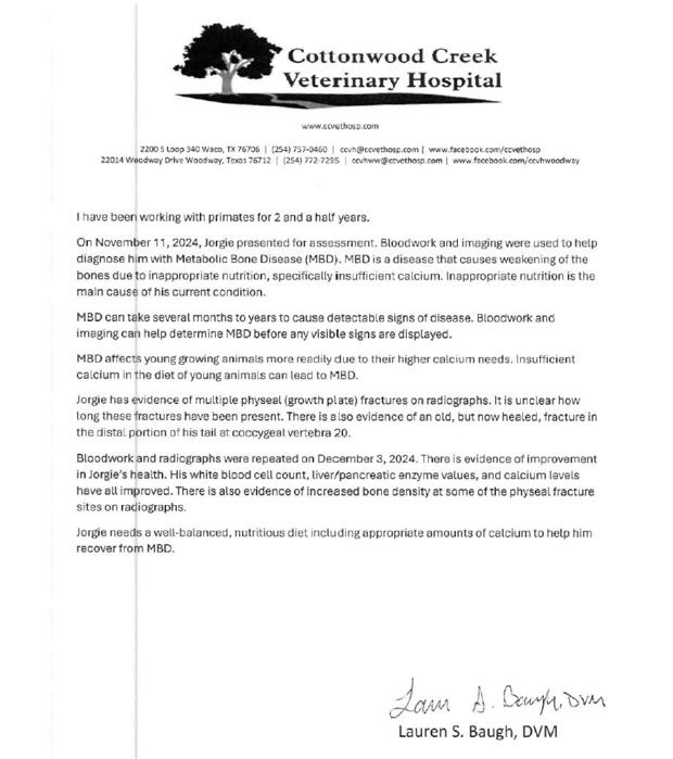 JorgieBoy vet letter 