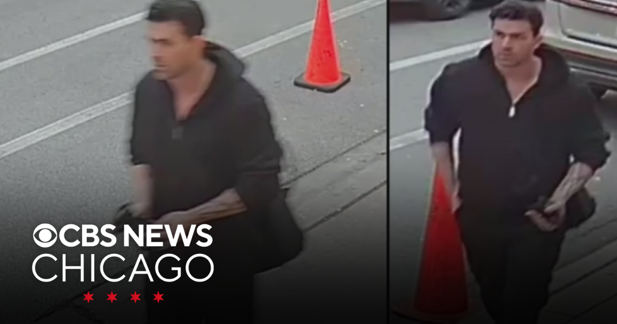 Police seek person of interest in deadly shooting in Chicago's Lincoln ...