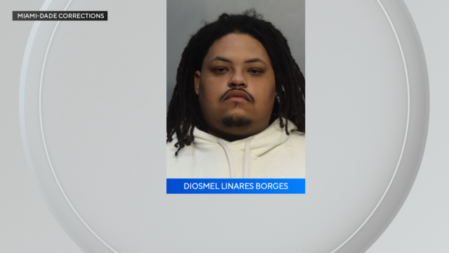 diosmel-linares-borges-mugshot-002.png 