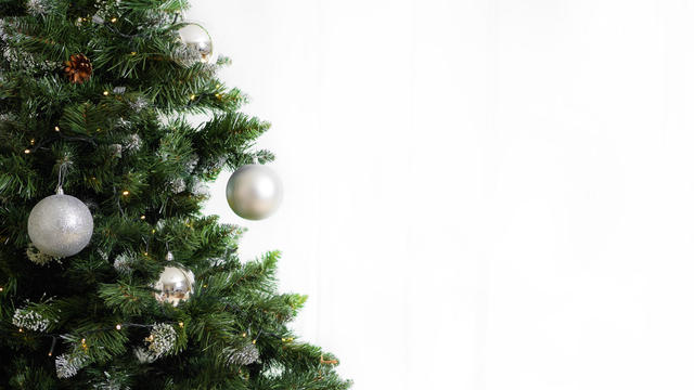 Christmas festive background with branches of a Christmas tree 