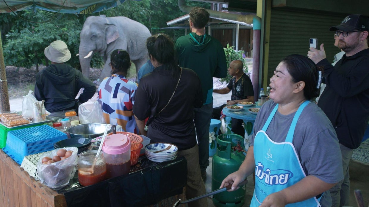 Farmers and villagers facing growing elephant conflict in Thailand | 60 ...