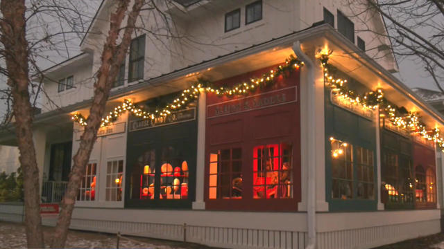 daytons-christmas-display-home-in-st-paul.jpg 