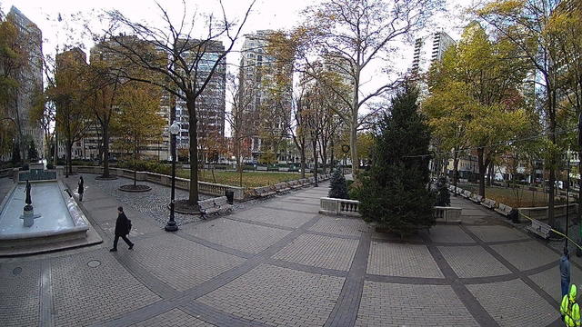 rittenhouse-tree-lighting.jpg 