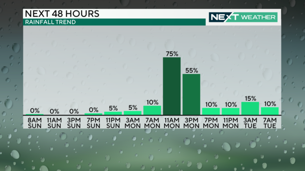 Rain over the next 48 hours 