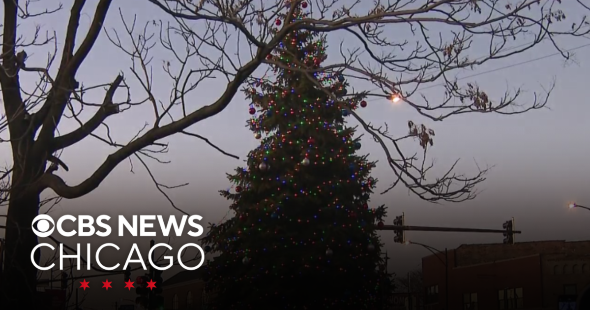 Firstever Christmas tree lighting in South Chicago neighborhood CBS