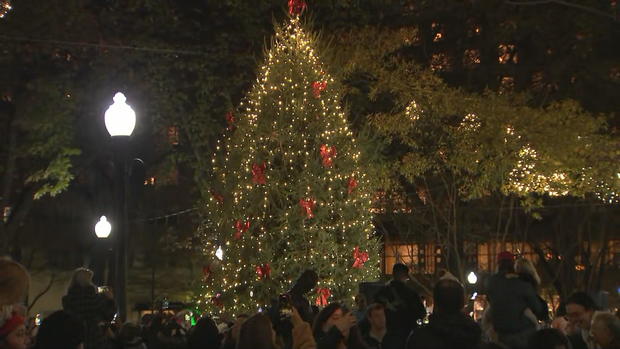 rittenhouse-christmas-tree.jpg 