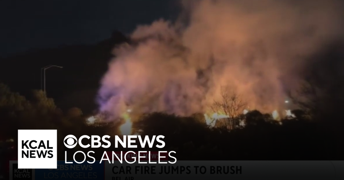 Car fire spreads to nearby brush off 405 Freeway offramp in Bel-Air ...
