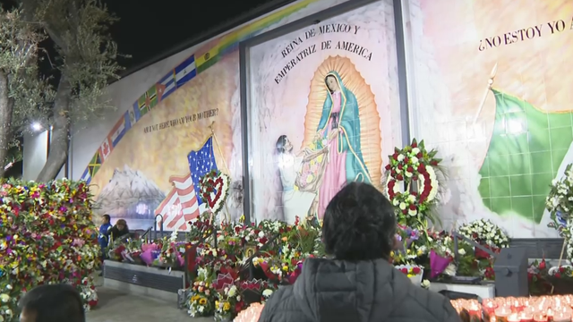 virgen-de-guadalupe1.png 