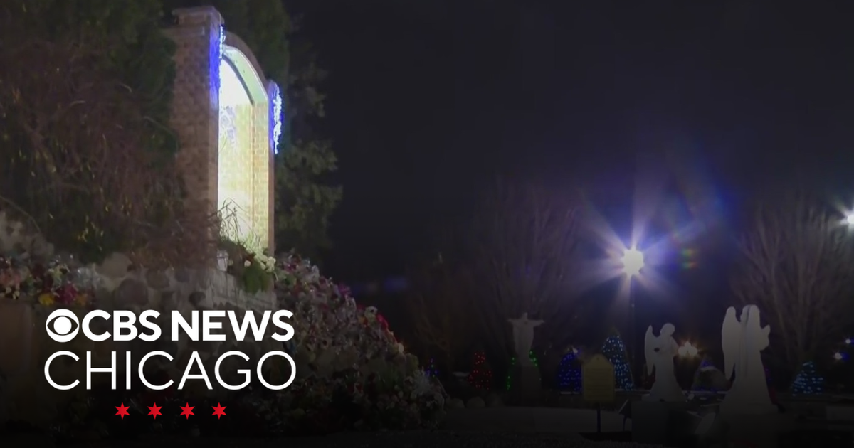 Celebration of Our Lady Guadalupe continues in Des Plaines - CBS Chicago
