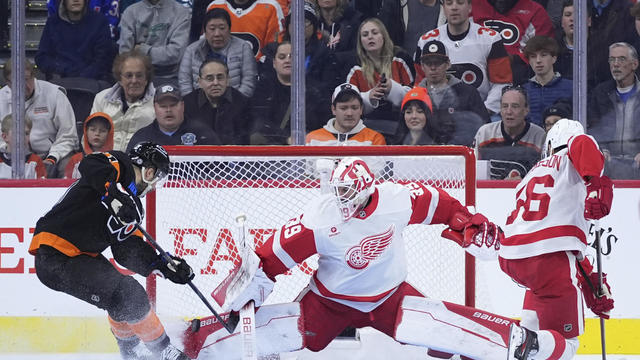 Red Wings Flyers Hockey 