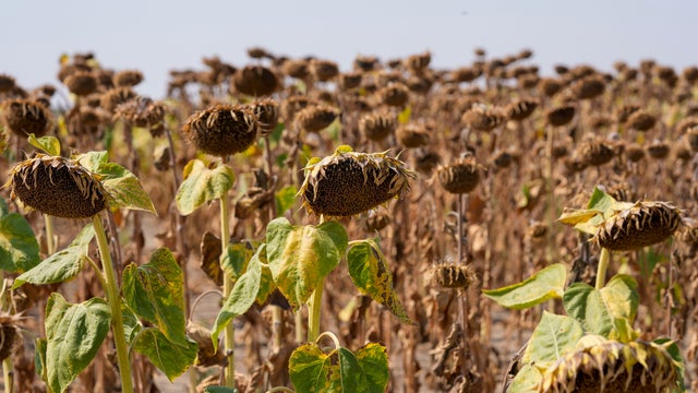 U.N. talks fail to reach agreement regarding increased risk of global drought exacerbated by a warming climate