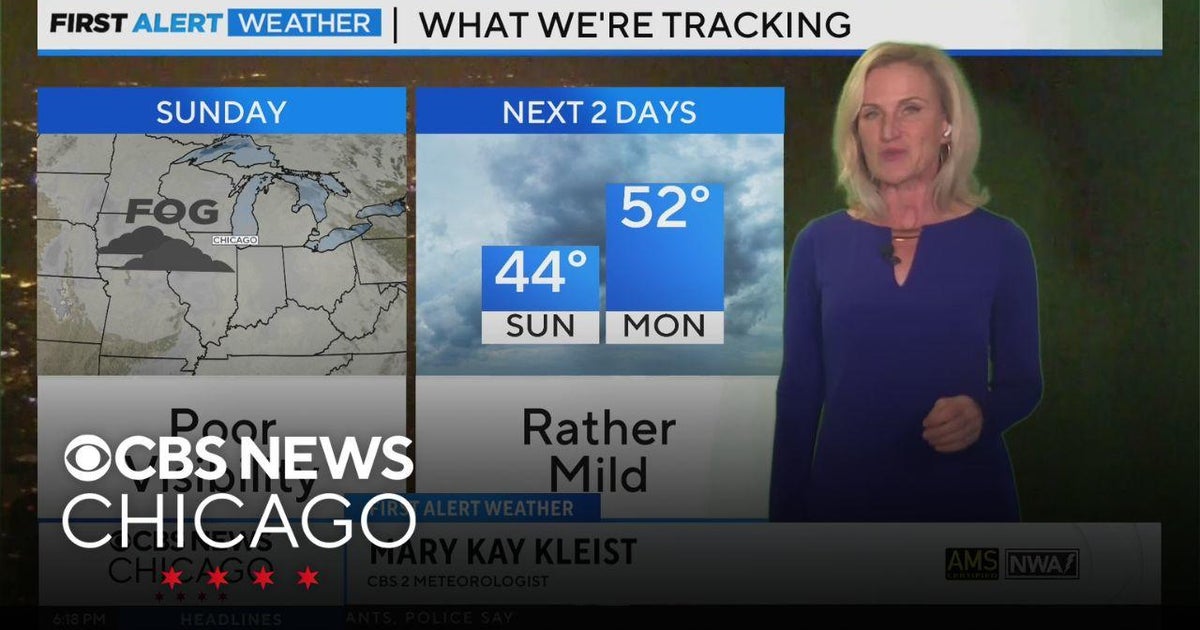 Cloudy Sunday ahead, with morning drizzle and fog - CBS Chicago