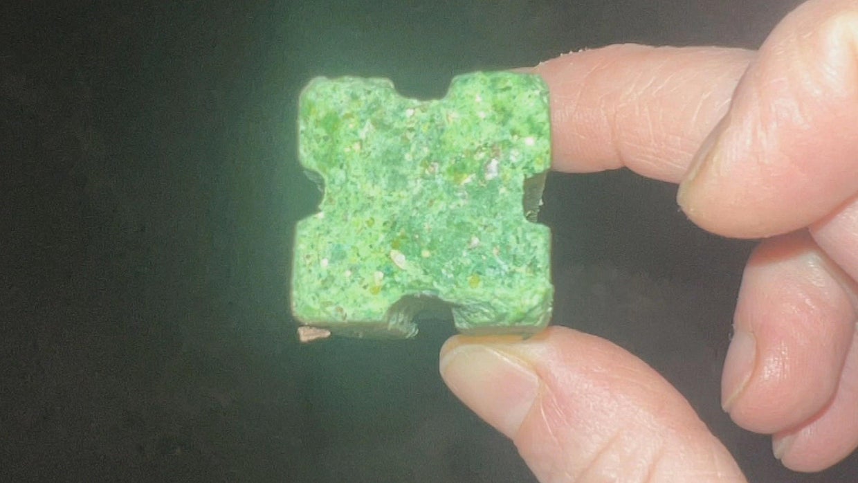 Boston woman warns pet owners after dog swallows rat poison - CBS Boston
