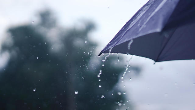 Rain falling on the umbrella 