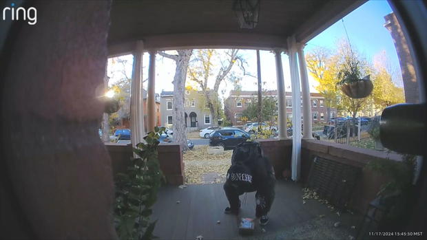 serial-porch-pirate-denver.jpg 