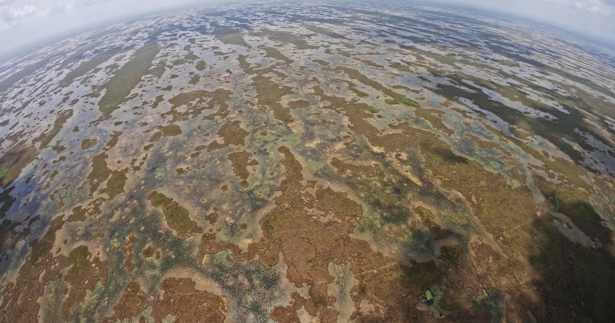 A race is on to save the Florida Everglades and protect a key source of drinking water A race is on to save the Florida Everglades and protect a key source of drinking water