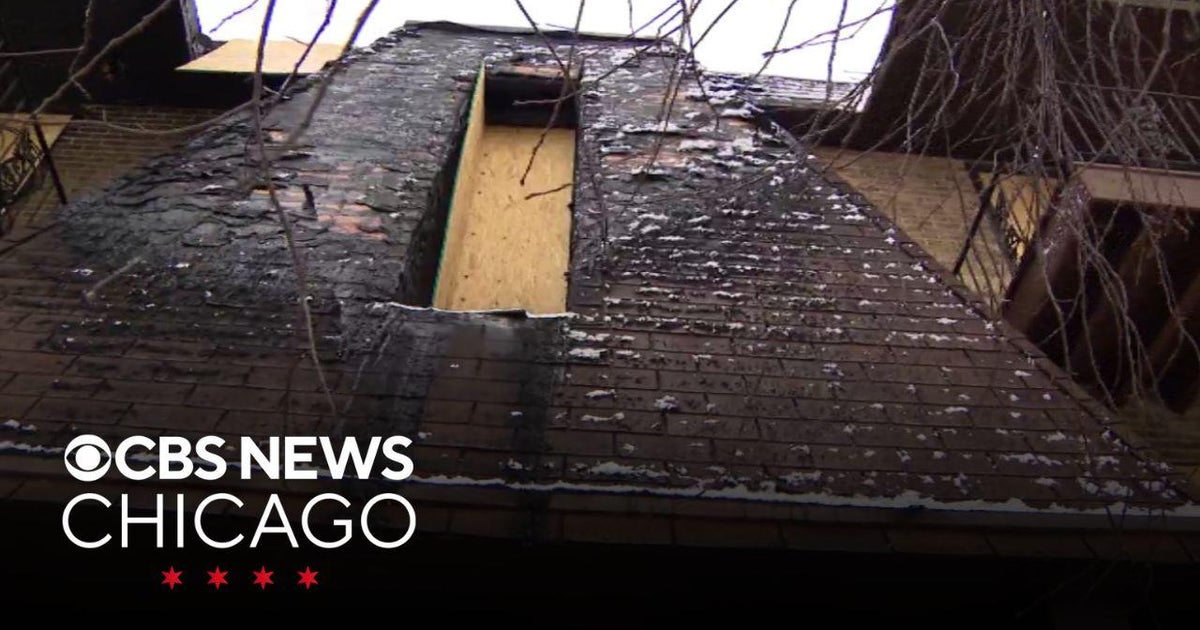 Woman jumps from burning condo building with her dog to escape fire ...