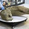 Photos show well-preserved remains of baby mammoth found in Siberia