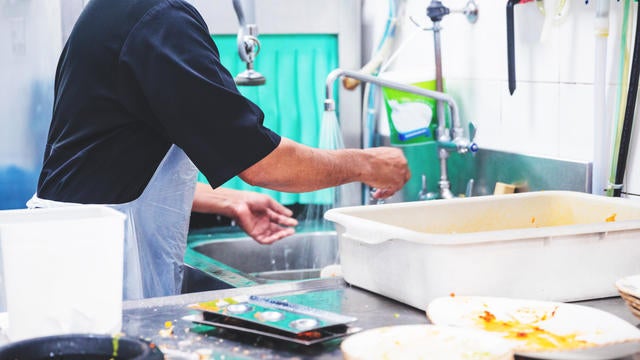 Restaurant Dish Washing Staff at Work 