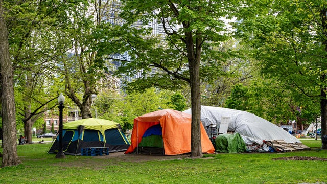 Homeless tents in the park. 