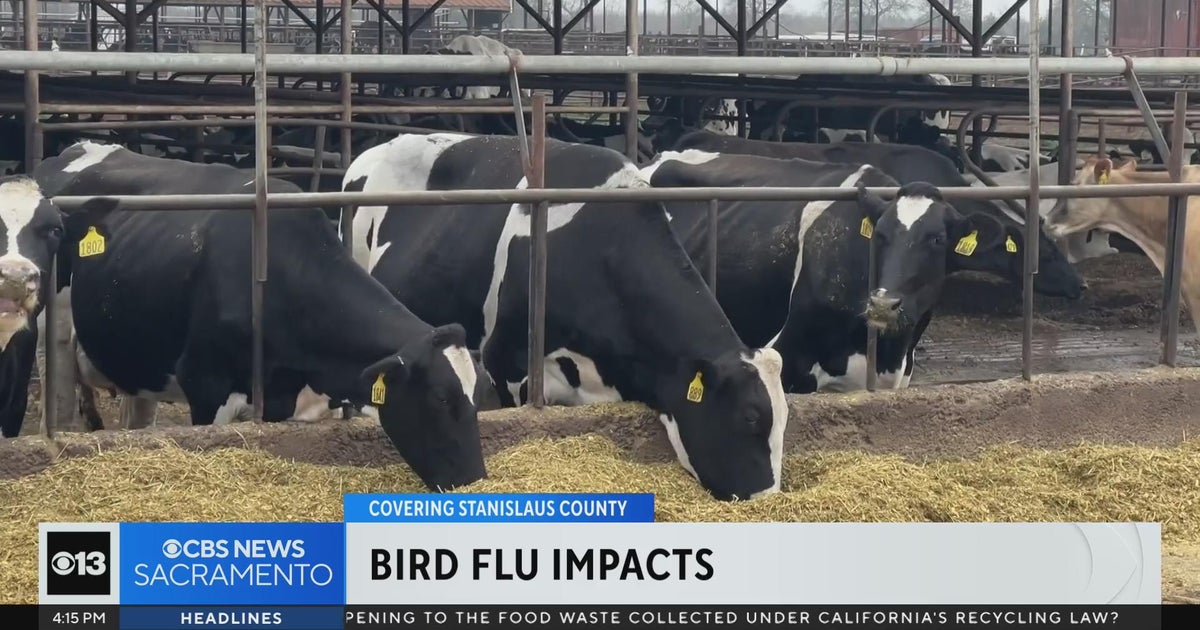 Stanislaus County sees first human case of bird flu this year